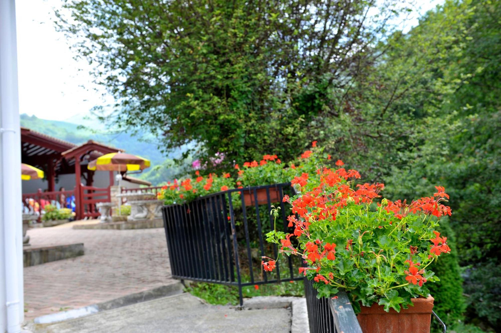 Hotel Les Sources De La Nive Esterençuby Exterior foto